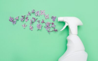 Five Reasons to Go Green When You Clean